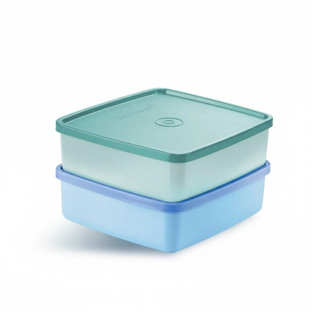 Tupperware Large Square Away 620ml Airtight Lunch Box Container