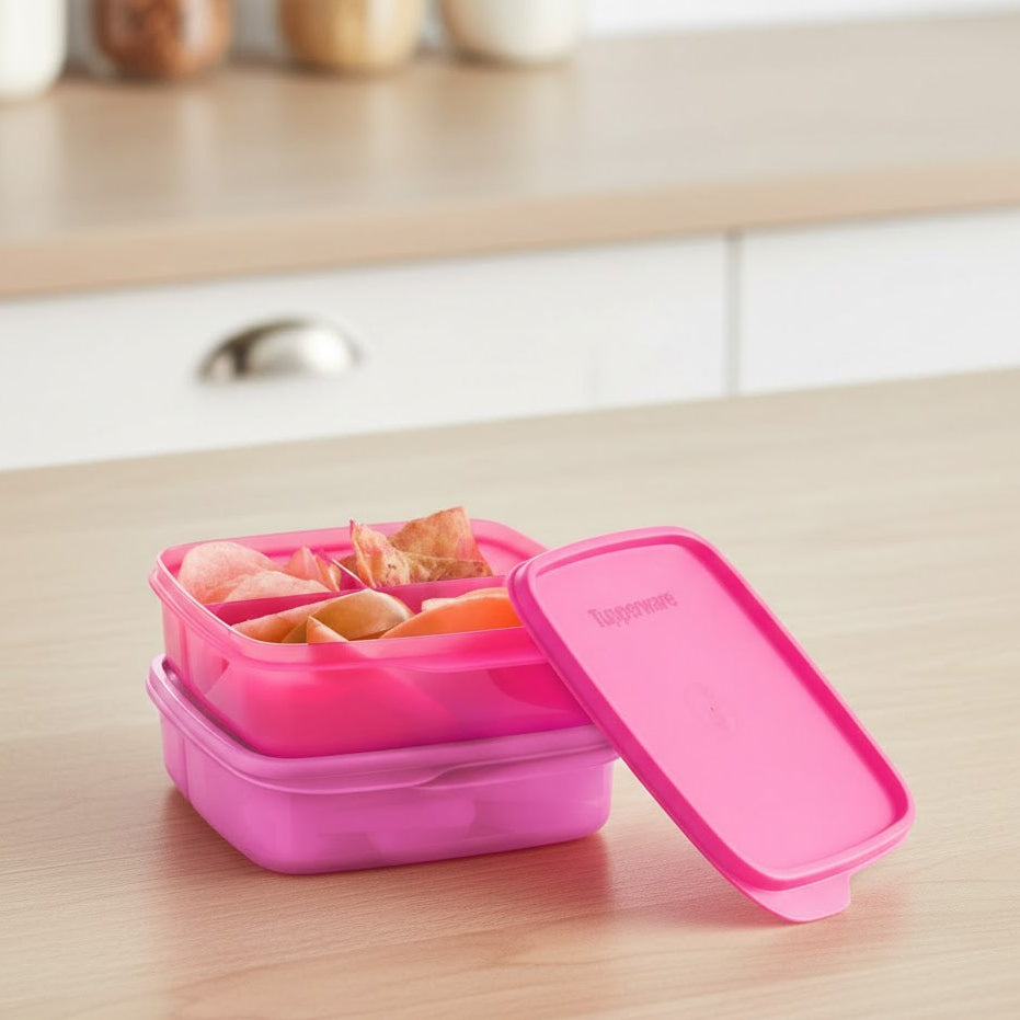 Tupperware Fun Meal Lunch Set of 2
