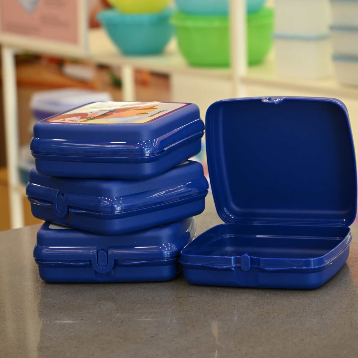 Tupperware Sandwich Keeper Desert Set of 2