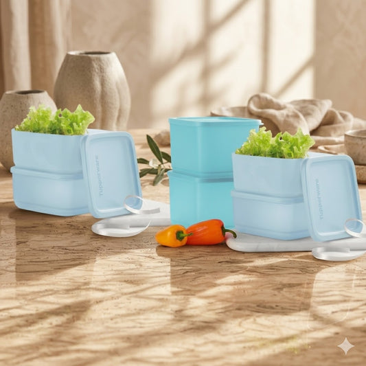 Tupperware Cubix Set – 640ml & 1L