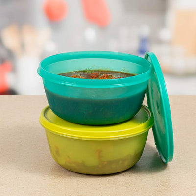 Tupperware 1.5L SS Bowl | Airtight Liquid-Tight Storage Bowl with Round Seal