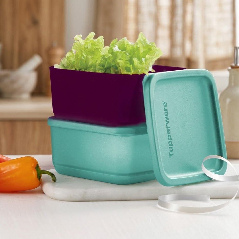 Tupperware Cubix 650ml – Set of 2