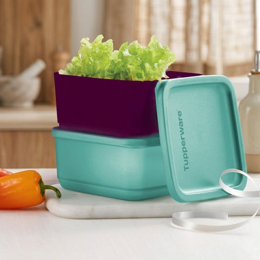 Tupperware Cubix 650ml – Set of 2