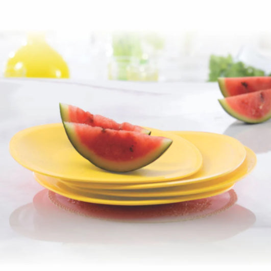 Tupperware Legacy Dinnerware Set 4 Plates