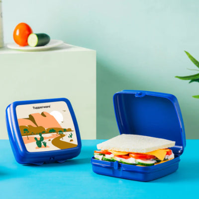 Tupperware Sandwich Keeper Desert Set of 2