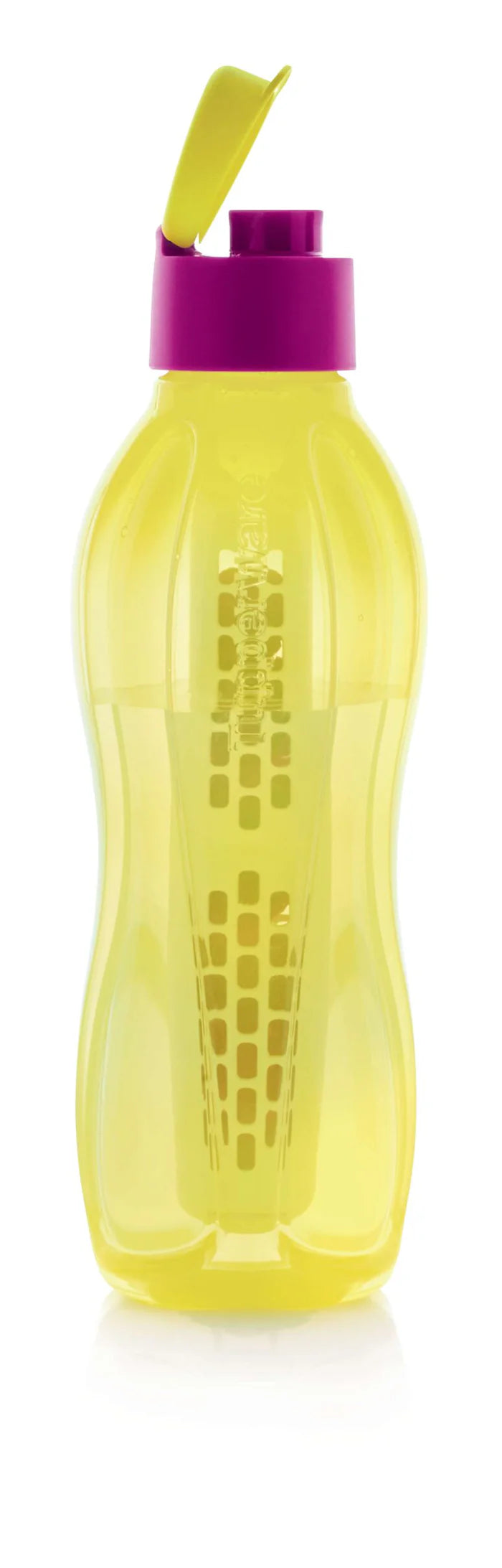 Tupperware Eco Fruit Bottle Infuser