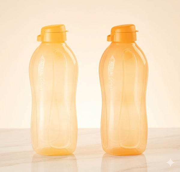 Aquasafe Bottle 2L Set of 2