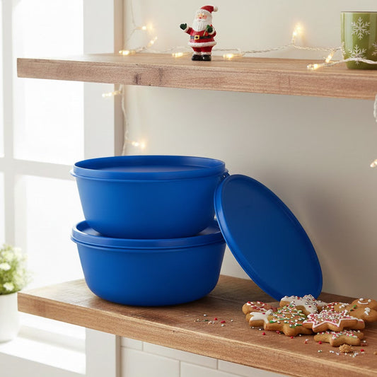 Tupperware 1.5L SS Bowl | Airtight Liquid-Tight Storage Bowl with Round Seal