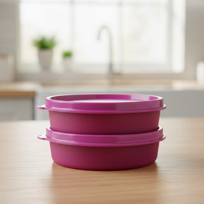 Tupperware Executive Bowl Small Set of 2 | Airtight Stackable Storage Bowls