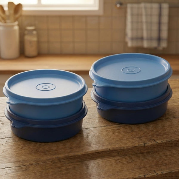 Tupperware Executive Bowl Small Set of 4